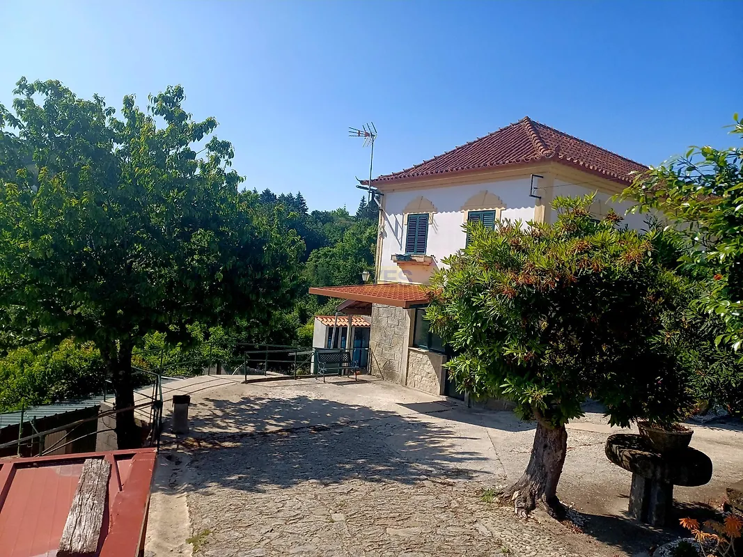 Moradia T4 à venda em Cedrim e Paradela, Sever do Vouga — foto 32