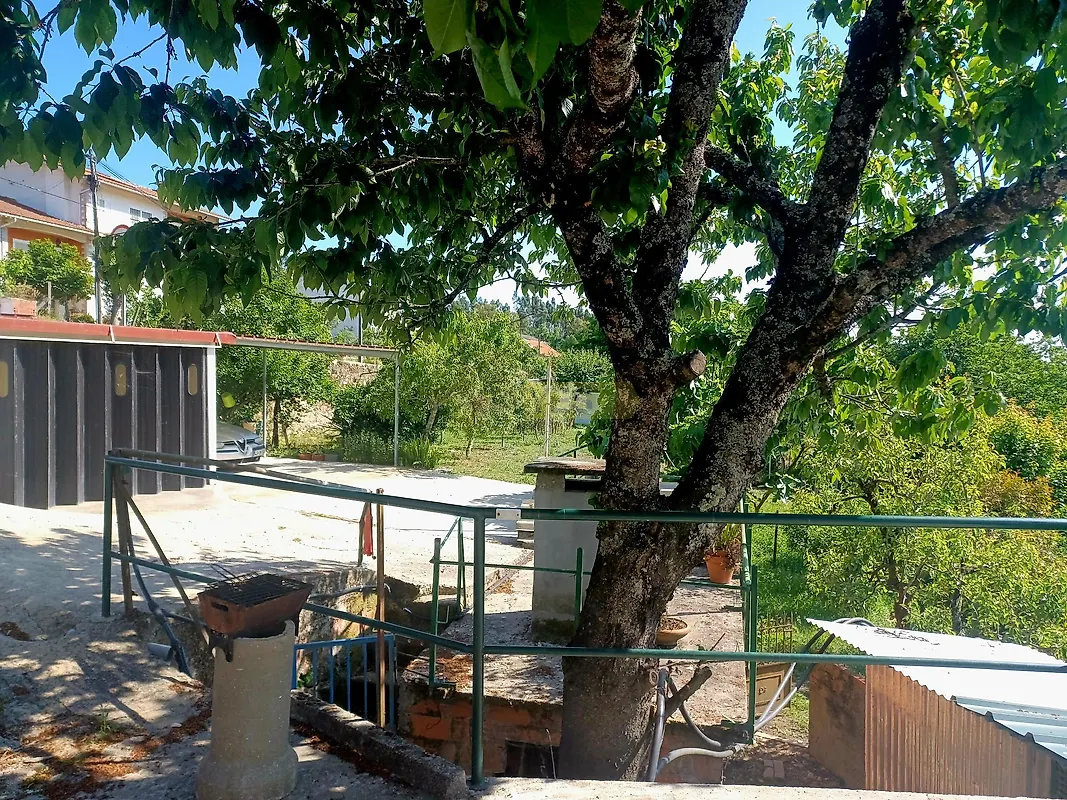 Moradia T4 à venda em Cedrim e Paradela, Sever do Vouga — foto 35
