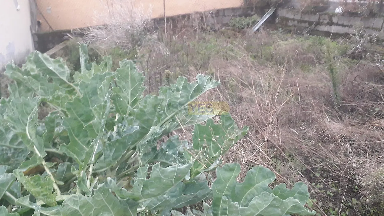 Moradia T2 à venda em Fonte Arcada e Escurquela, Sernancelhe — foto 6