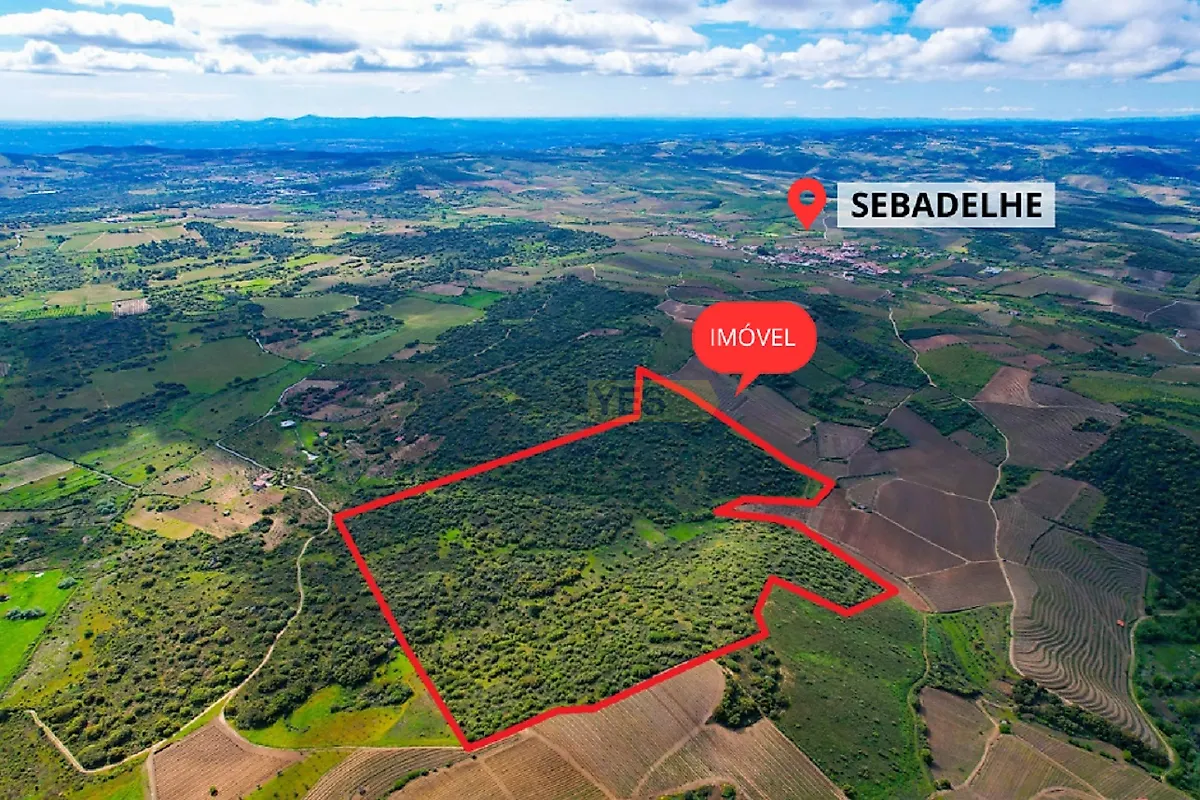 Moradia T6+ à venda em Sebadelhe, Vila Nova de Foz Côa — foto 34
