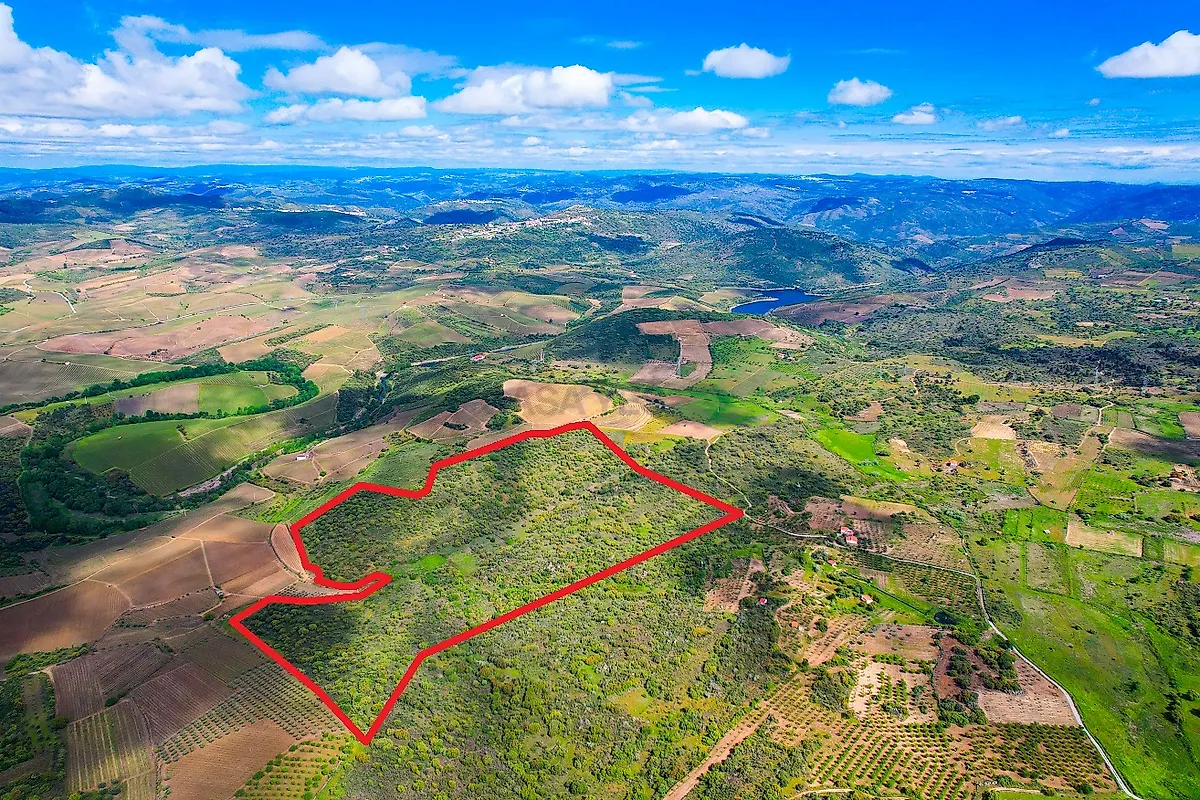 Moradia T6+ à venda em Sebadelhe, Vila Nova de Foz Côa — foto 35