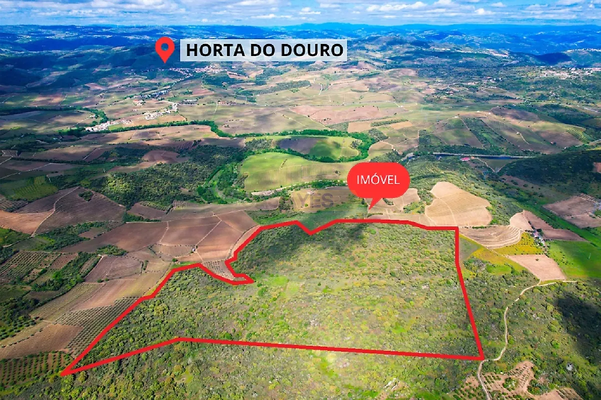 Moradia T6+ à venda em Sebadelhe, Vila Nova de Foz Côa — foto 36