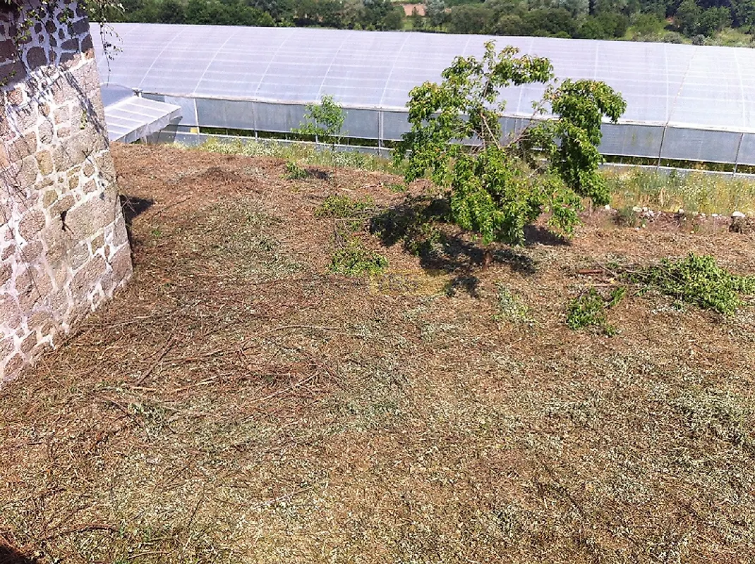 Moradia T4 à venda em São Cipriano e Vil de Souto, Viseu — foto 6