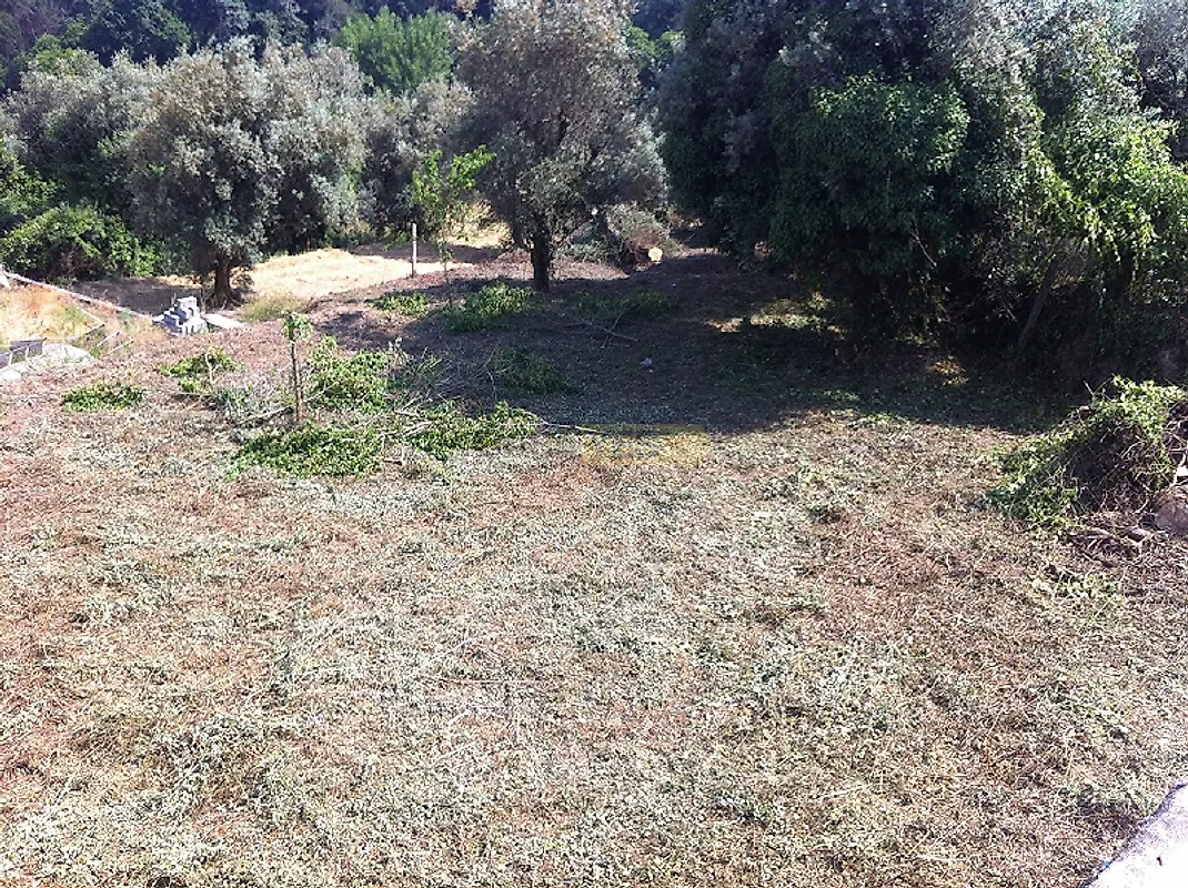 Moradia T4 à venda em São Cipriano e Vil de Souto, Viseu — foto 7