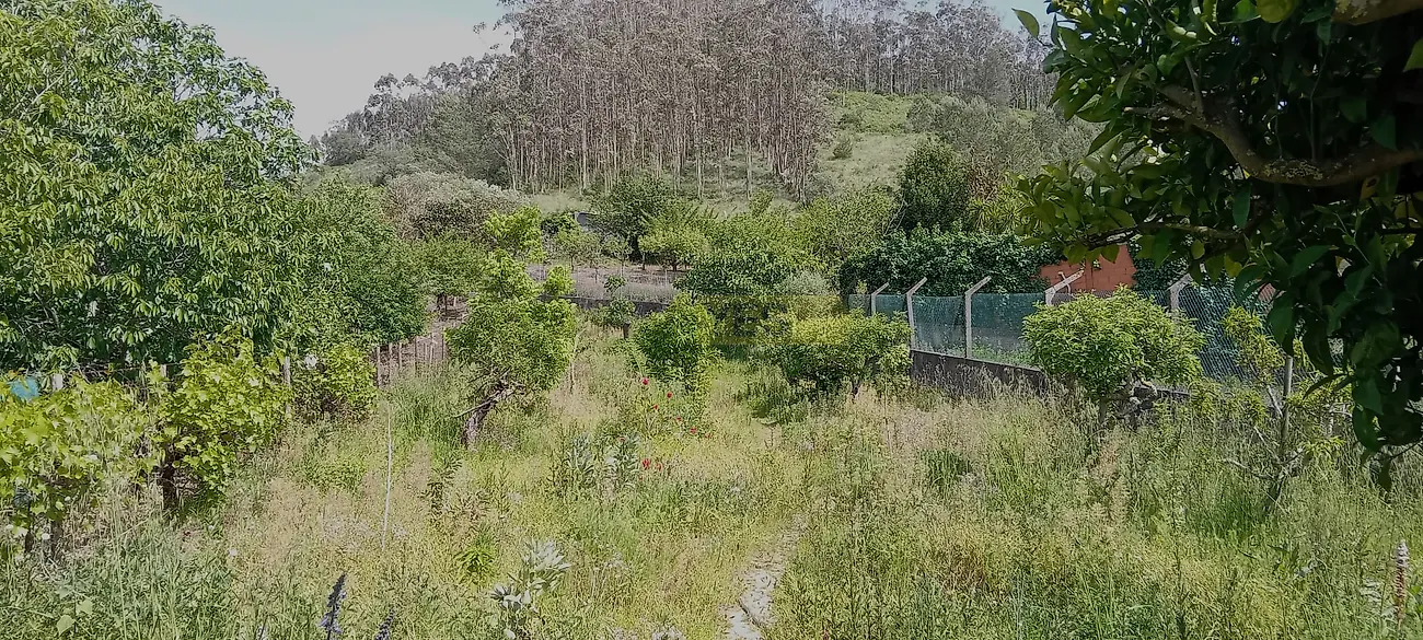 Moradia T4 à venda em Vila Verde dos Francos, Alenquer — foto 7