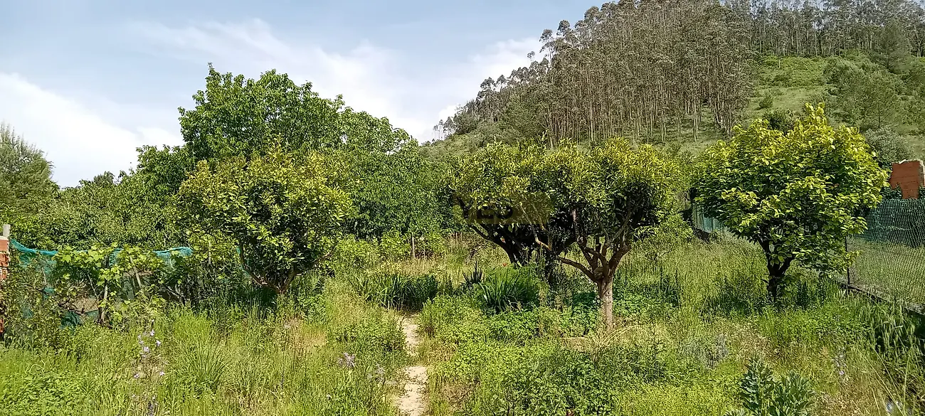 Moradia T4 à venda em Vila Verde dos Francos, Alenquer — foto 9