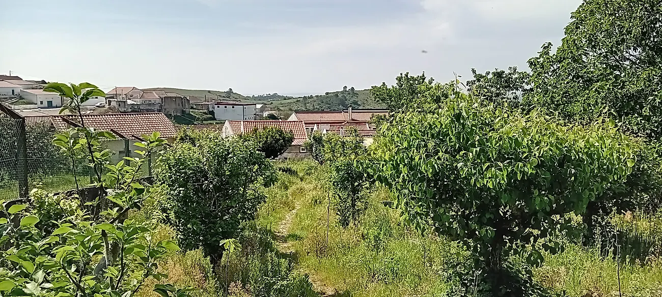 Moradia T4 à venda em Vila Verde dos Francos, Alenquer — foto 11