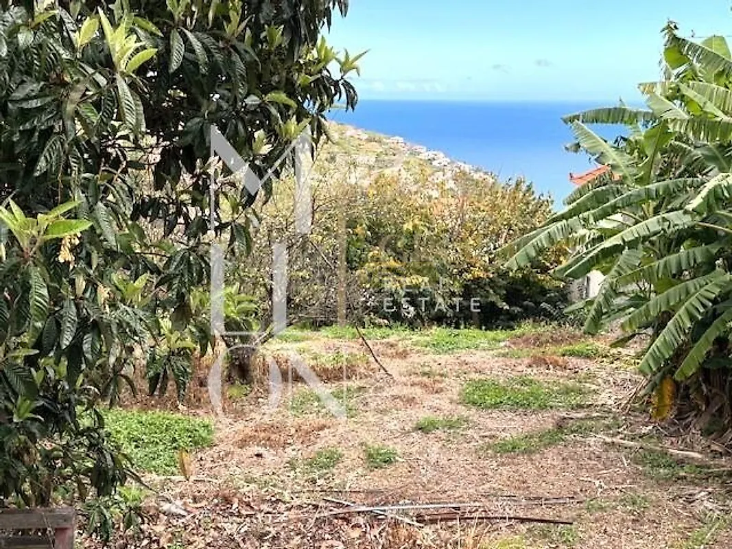 Moradia T5 à venda em Arco da Calheta, Calheta — foto 22