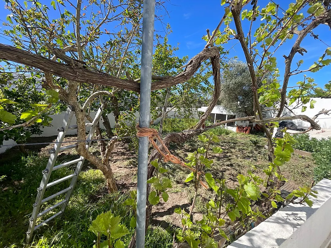 Moradia T5 à venda em Ermidas-Sado, Santiago do Cacém — foto 34
