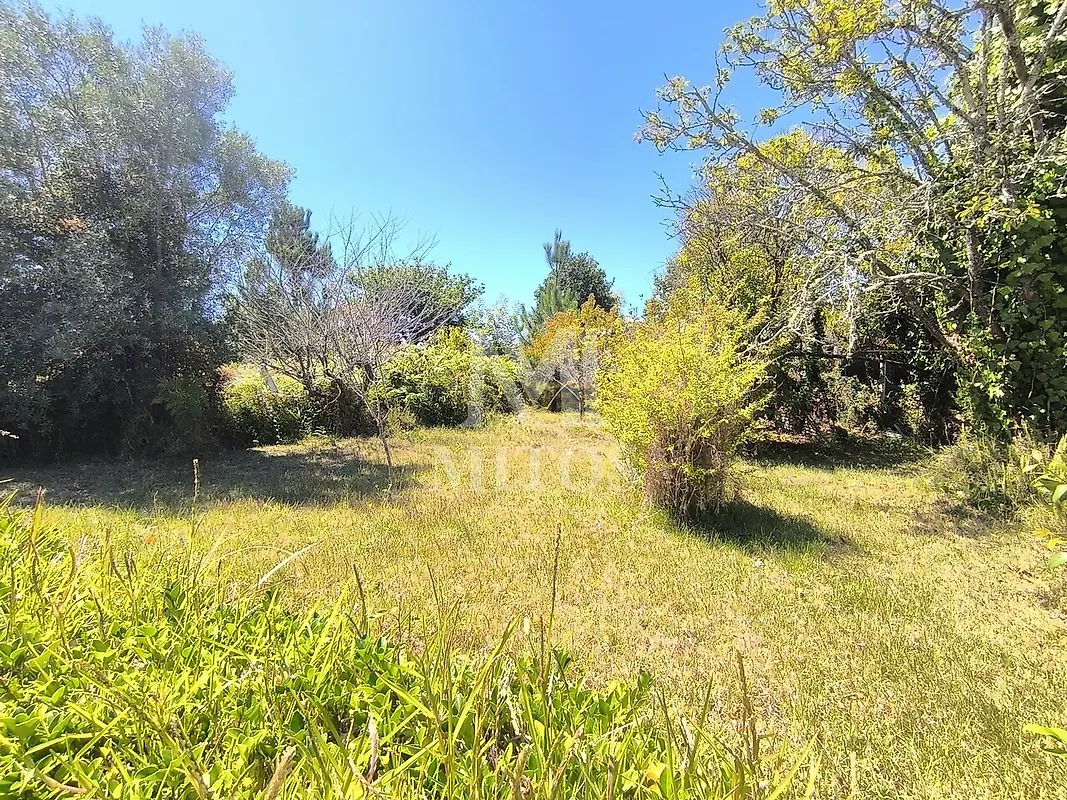Moradia T2 à venda em Vila Praia de Âncora, Caminha — foto 10