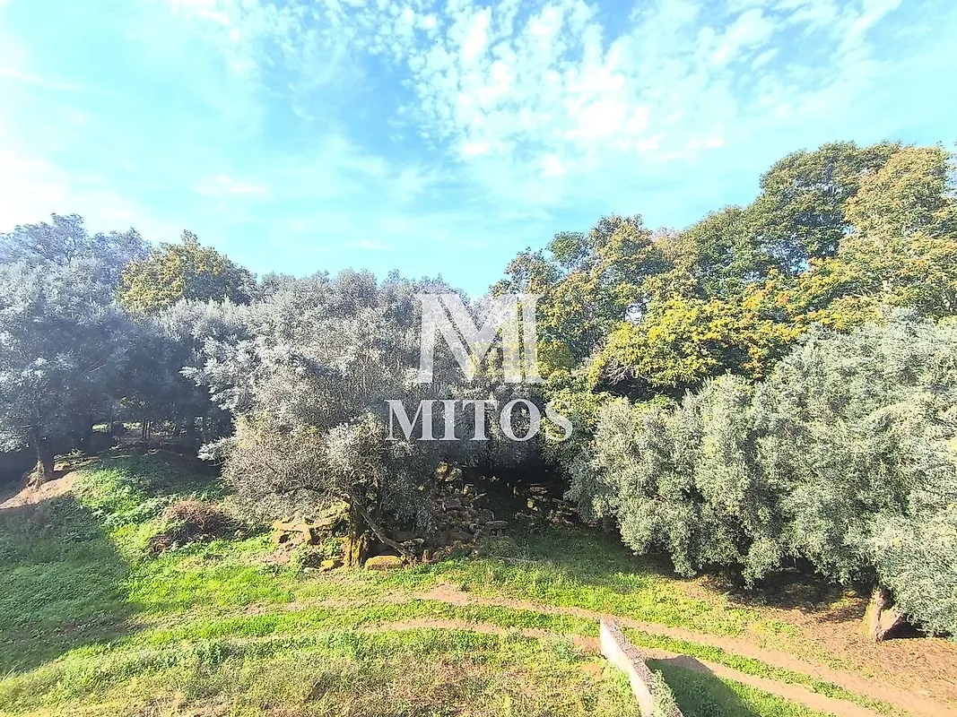 Moradia T4 à venda em Vitorino das donas, Ponte de Lima — foto 14