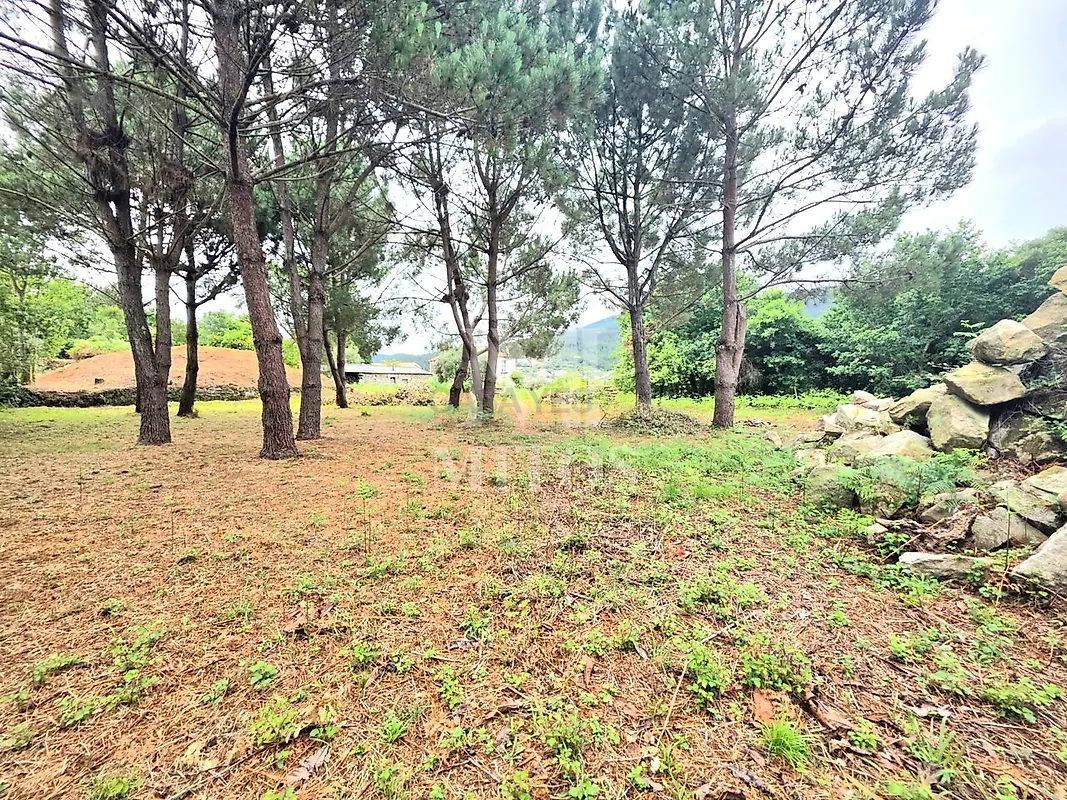 Moradia T4 à venda em Vile, Caminha — foto 23