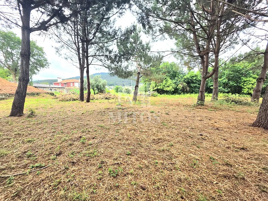 Moradia T4 à venda em Vile, Caminha — foto 24