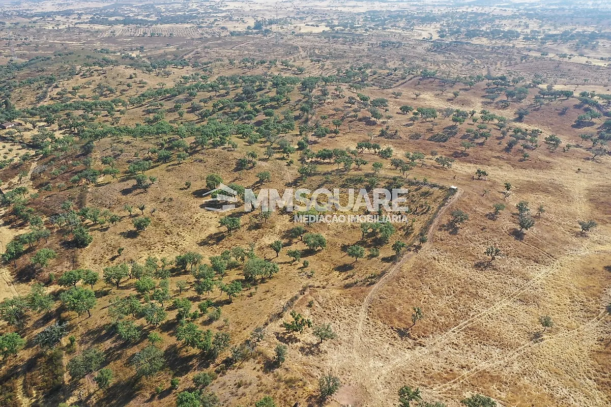Moradia T4 à venda em Garvão e Santa Luzia, Ourique — foto 10