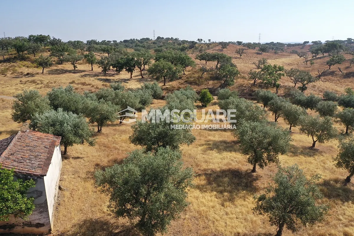 Moradia T4 à venda em Garvão e Santa Luzia, Ourique — foto 24