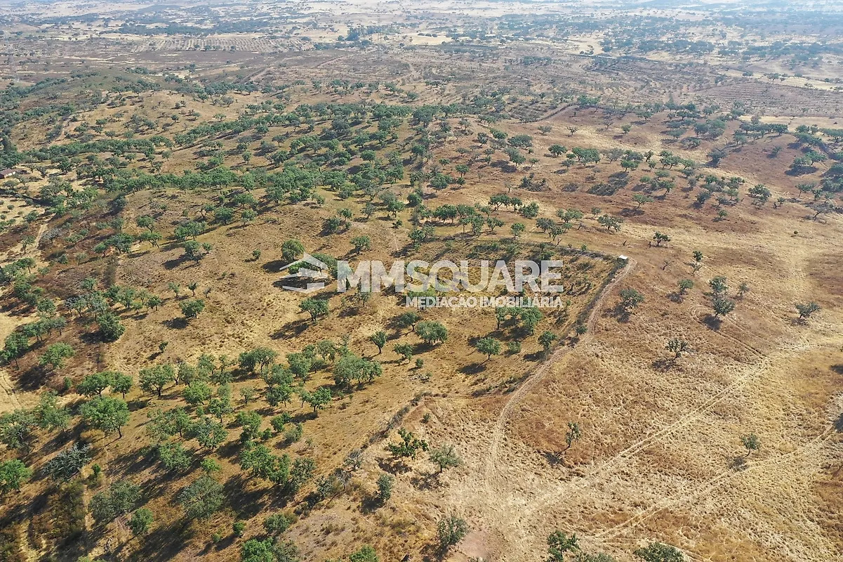 Moradia T4 à venda em Garvão e Santa Luzia, Ourique — foto 11
