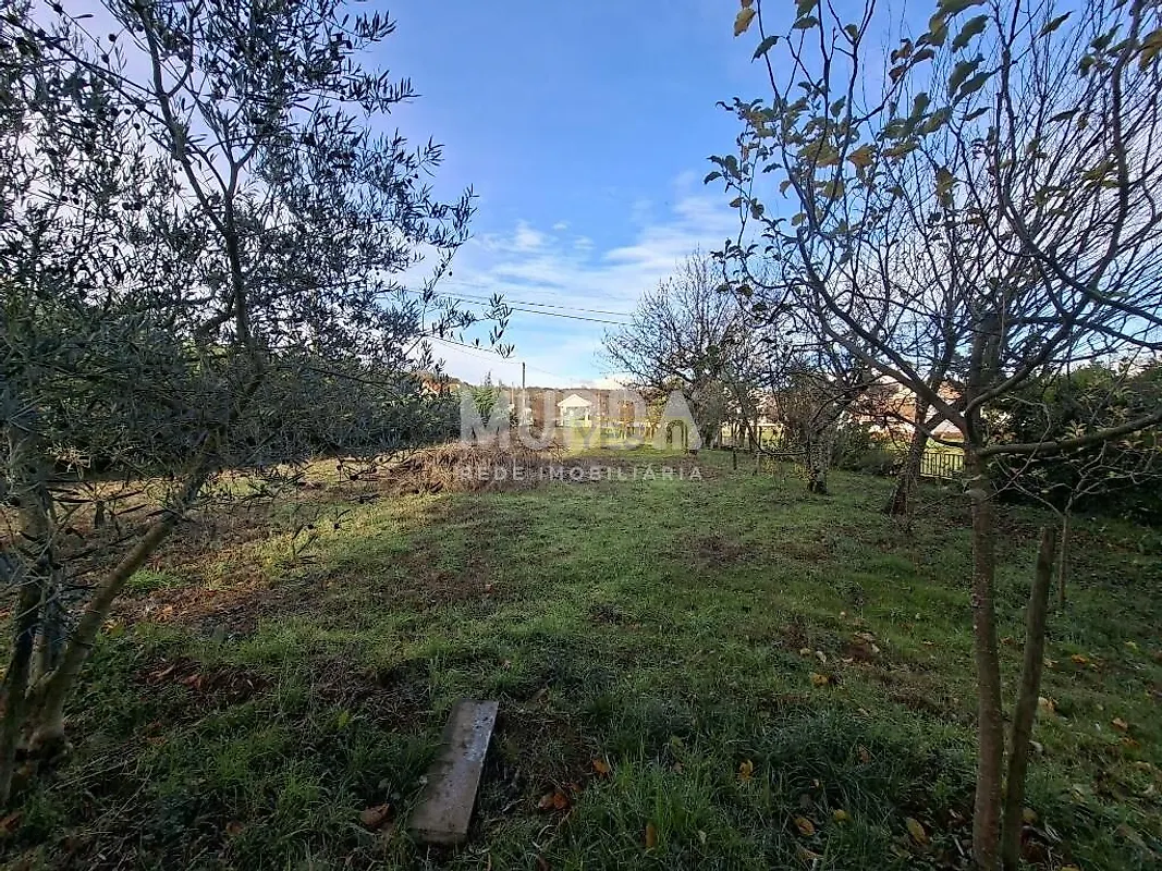 Moradia T5 à venda em Salsas, Bragança — foto 17