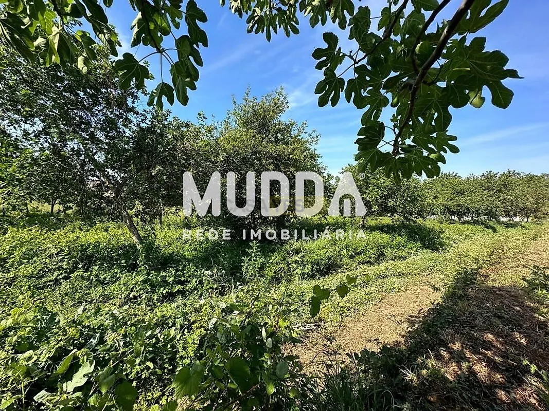Moradia T0 à venda em Branca, Albergaria-a-Velha — foto 18