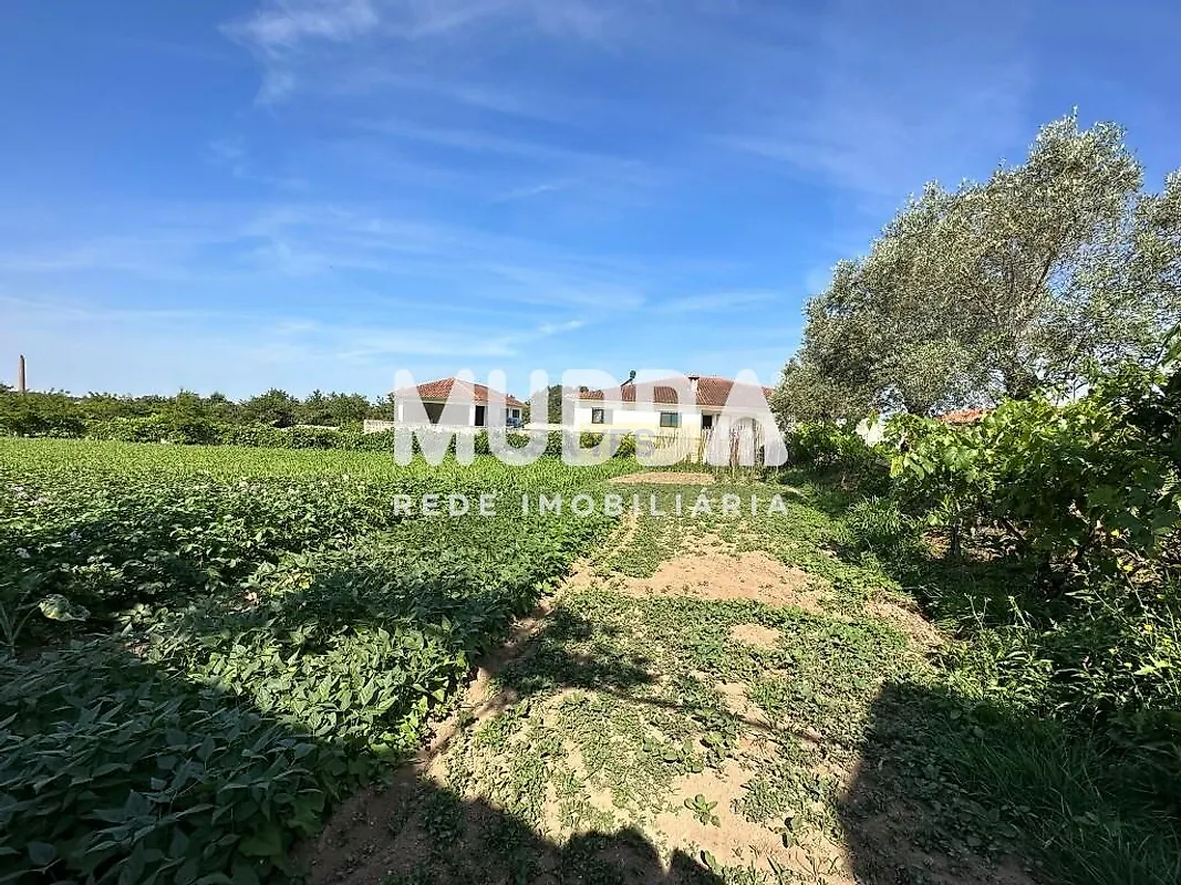 Moradia T0 à venda em Branca, Albergaria-a-Velha — foto 8