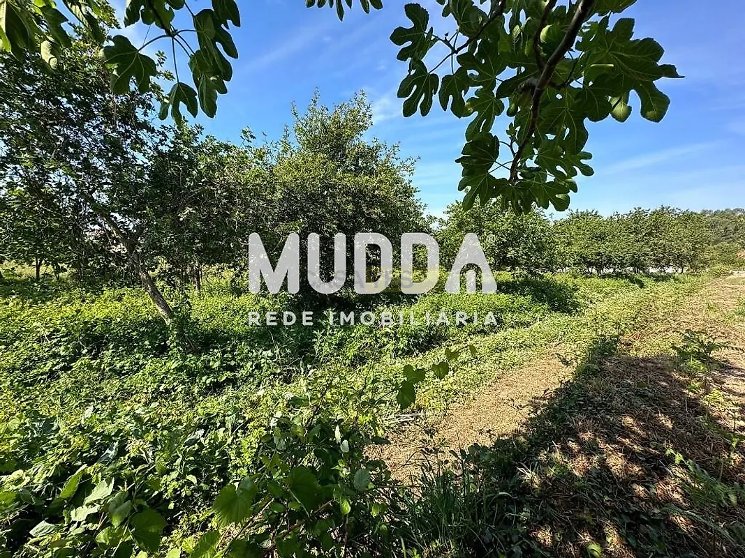 Moradia T0 à venda em Branca, Albergaria-a-Velha — foto 17