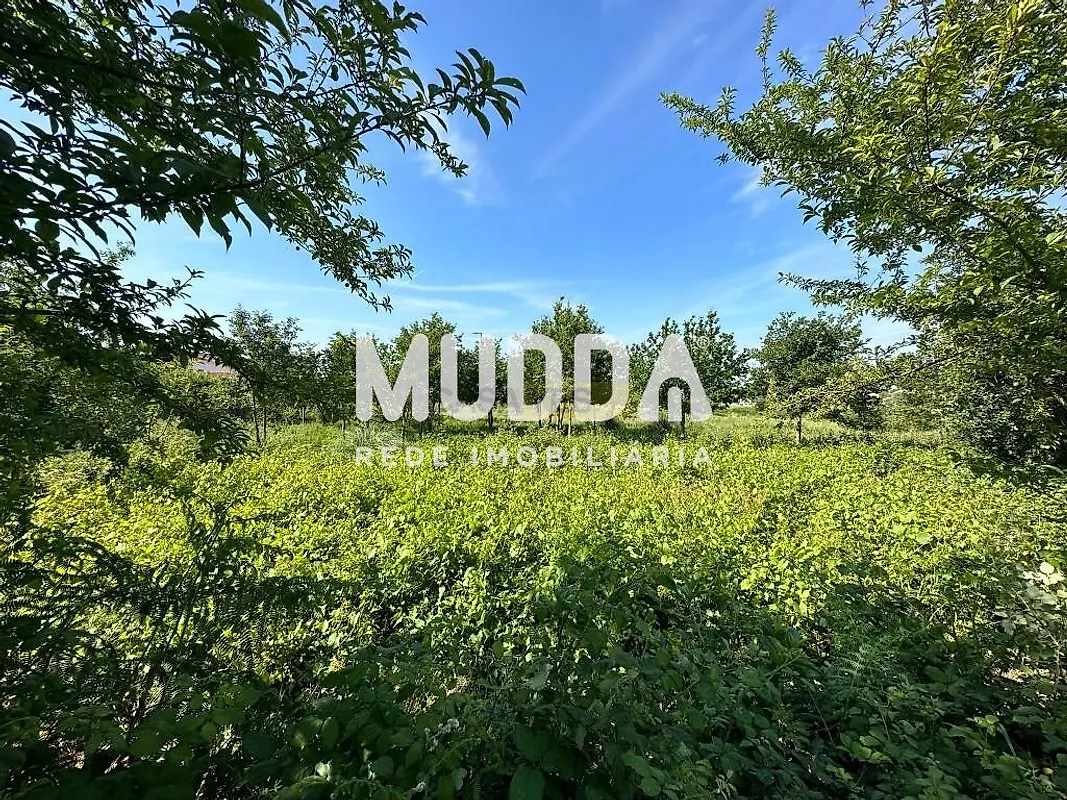 Moradia T0 à venda em Branca, Albergaria-a-Velha — foto 12