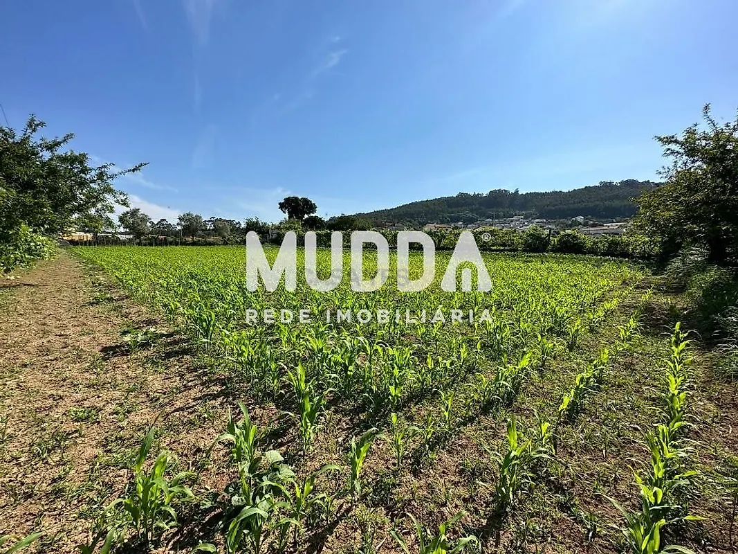 Moradia T0 à venda em Branca, Albergaria-a-Velha — foto 13