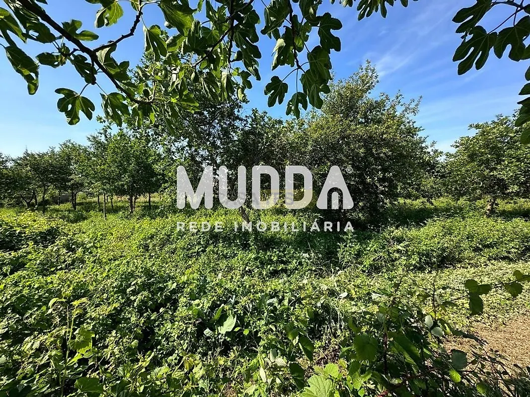 Moradia T0 à venda em Branca, Albergaria-a-Velha — foto 15