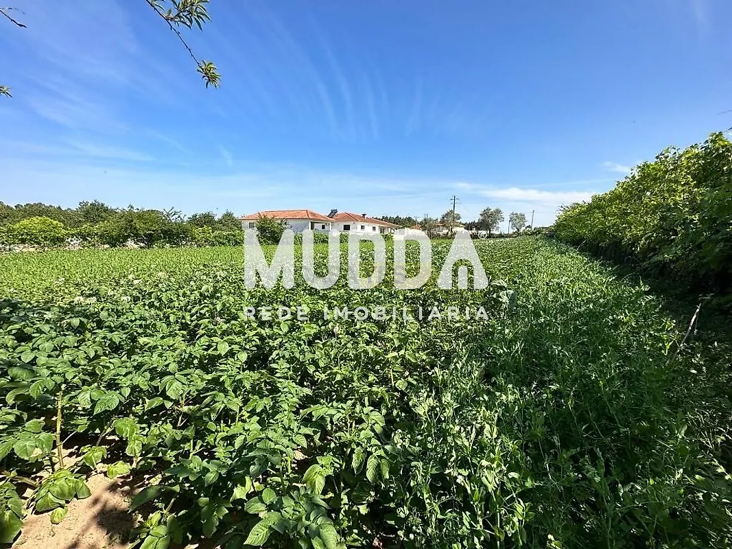 Moradia T0 à venda em Branca, Albergaria-a-Velha — foto 9