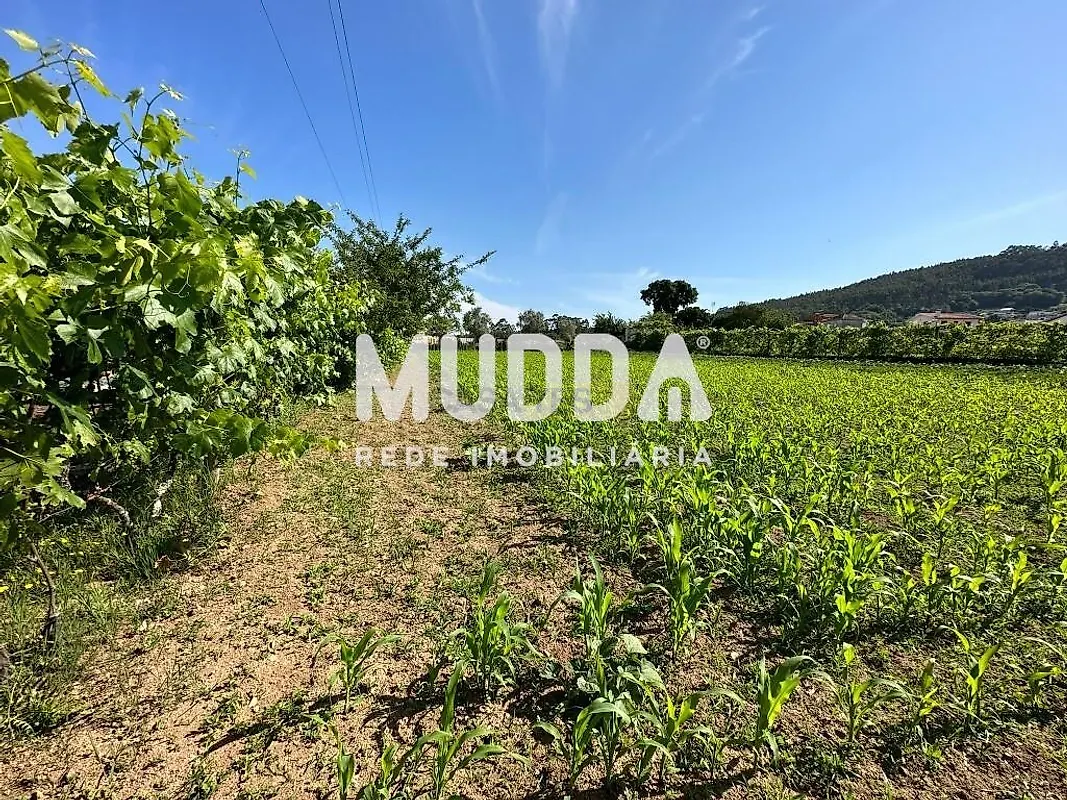 Moradia T0 à venda em Branca, Albergaria-a-Velha — foto 14