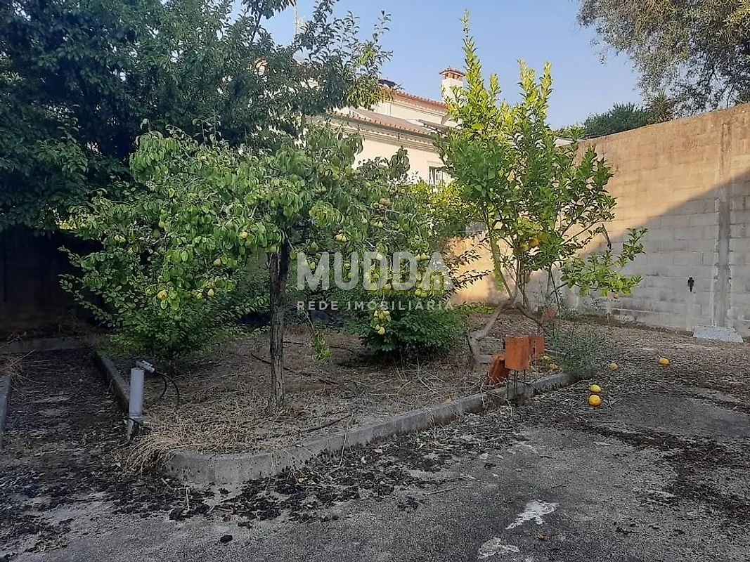 Moradia T4 à venda em São Lourenço do Bairro, Anadia — foto 18