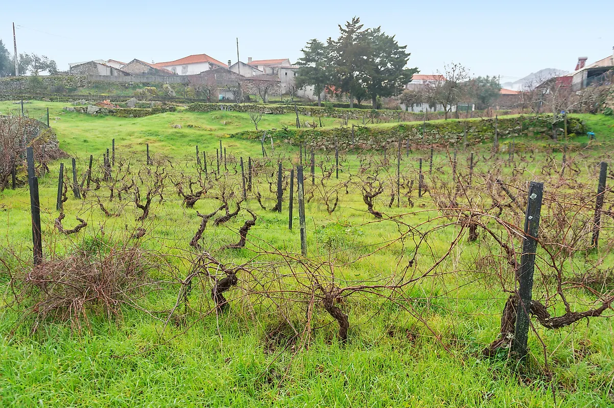 Moradia T3 à venda em Custóias, Vila Nova de Foz Côa — foto 19