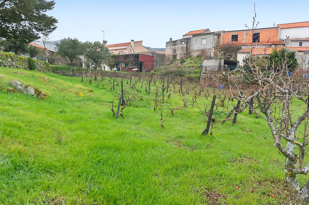 Moradia T3 à venda em Custóias, Vila Nova de Foz Côa — foto 20