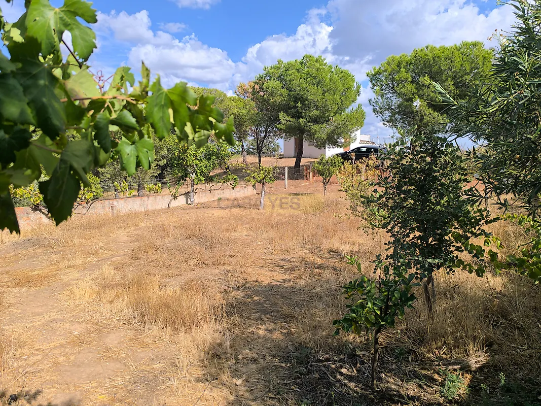 Moradia T3 à venda em Azinhal, Castro Marim — foto 25
