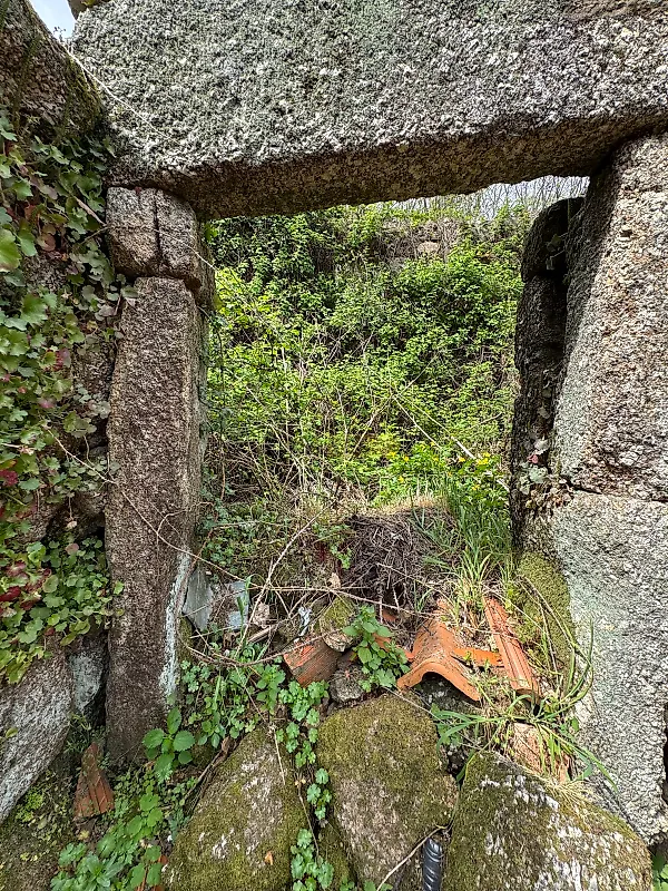 Moradia T1 à venda em São Pedro do Sul, Várzea e Baiões, São Pedro do Sul — foto 22