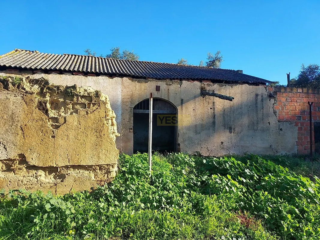 Moradia T6+ à venda em Carregueira, Chamusca — foto 21