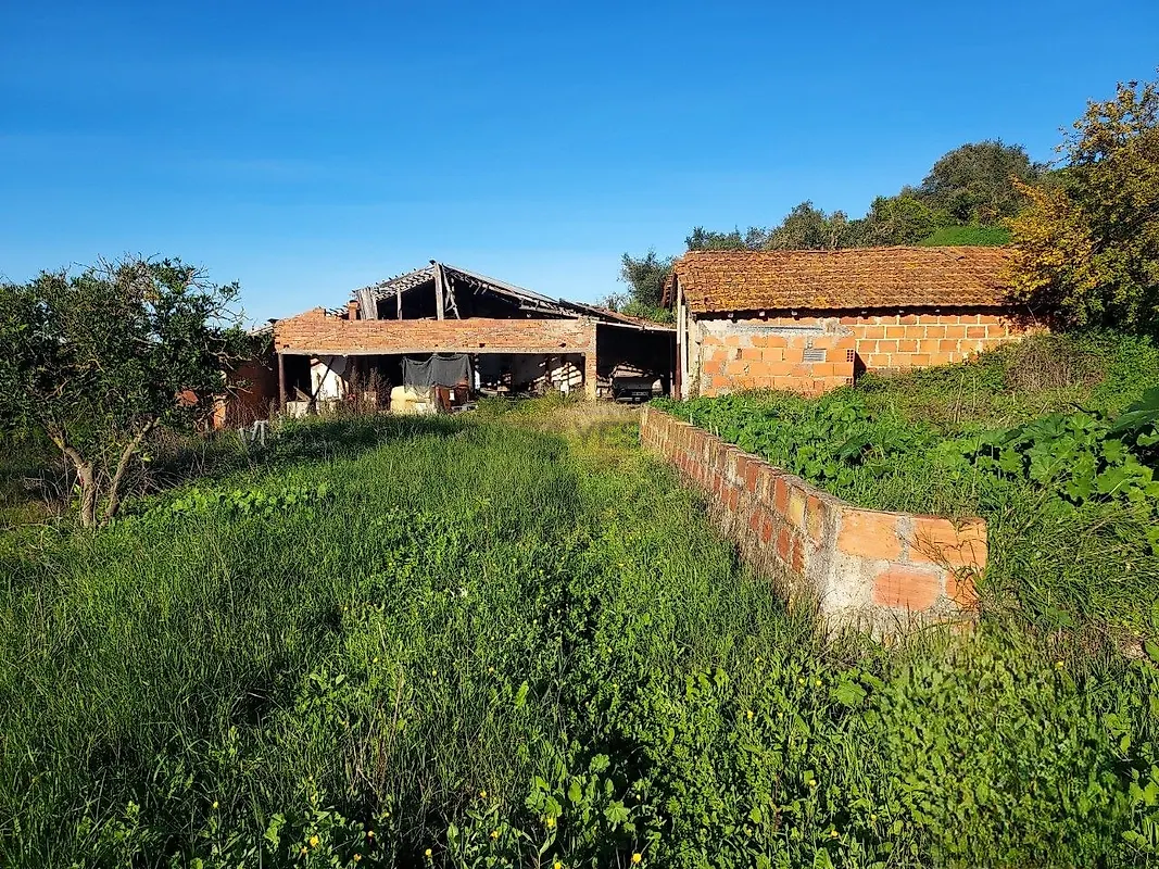 Moradia T6+ à venda em Carregueira, Chamusca — foto 26