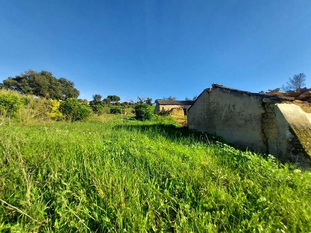 Moradia T6+ à venda em Carregueira, Chamusca — foto 33