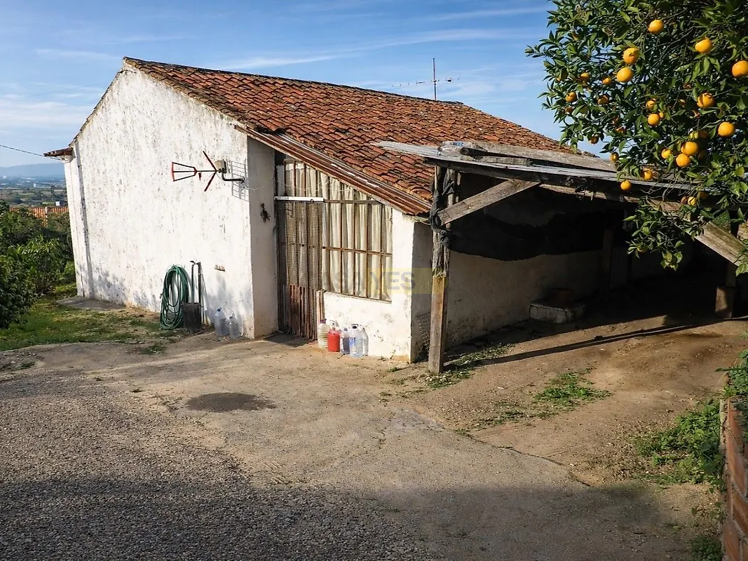 Moradia T6+ à venda em Carregueira, Chamusca — foto 31