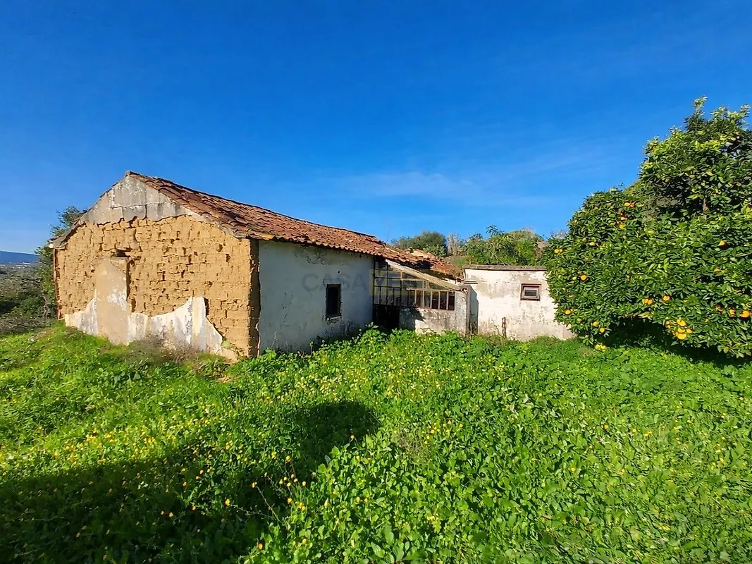 Moradia T6+ à venda em Carregueira, Chamusca — foto 32