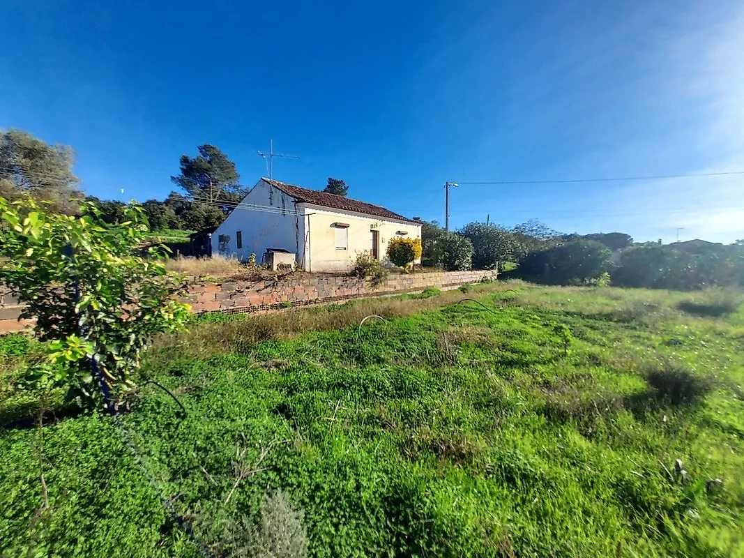 Moradia T6+ à venda em Carregueira, Chamusca — foto 29