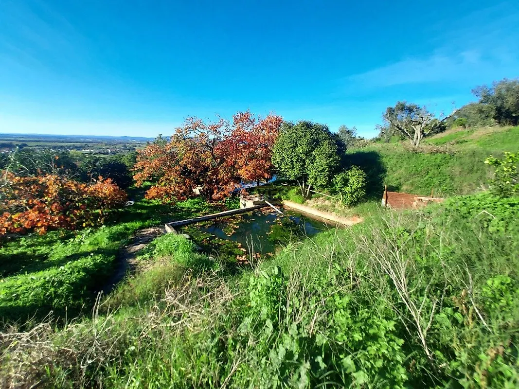 Moradia T6+ à venda em Carregueira, Chamusca — foto 34