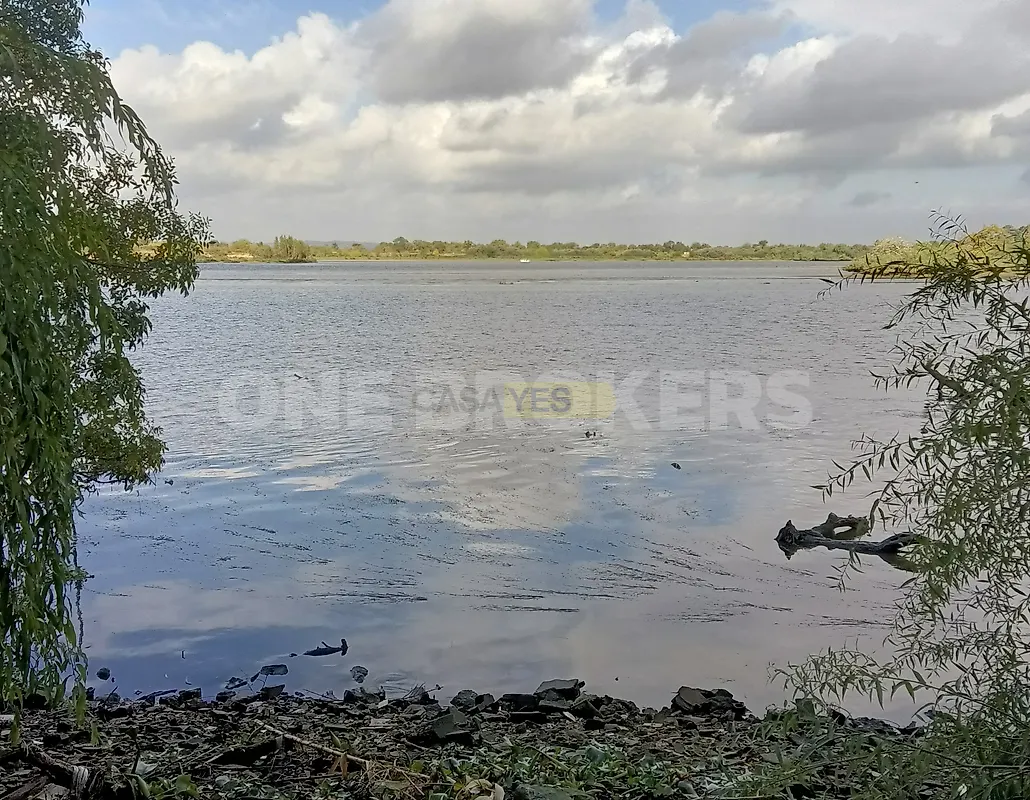 Moradia T2 à venda em Marinhais, Salvaterra de Magos — foto 19