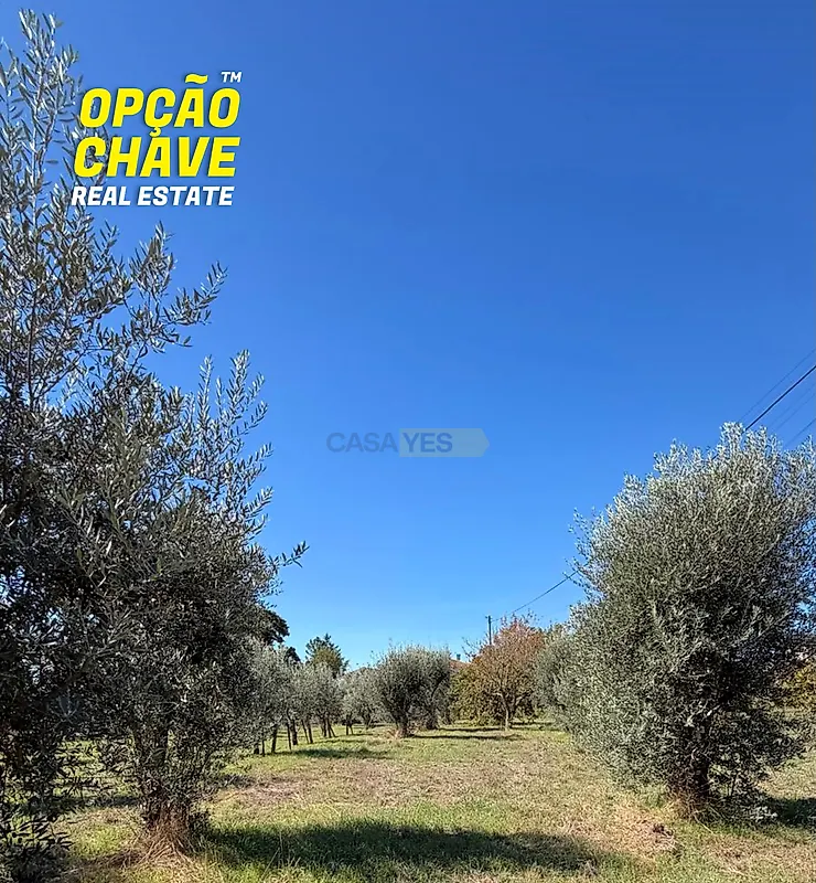 Moradia T2 à venda em Barreiros e Cepões, Viseu — foto 2