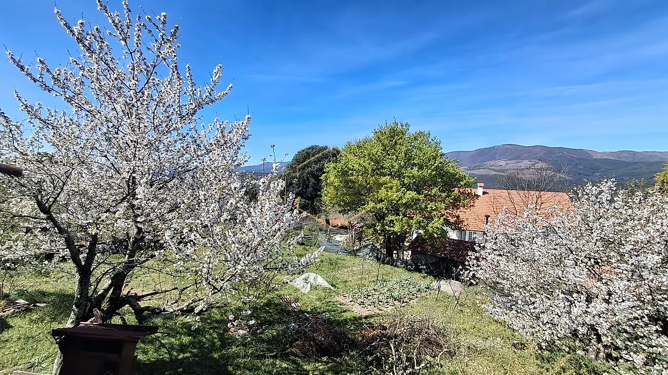Apartamento T3 à venda em Vila Maior, São Pedro do Sul — foto 5
