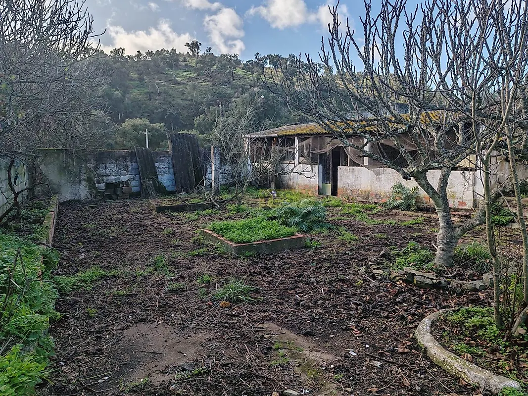 Moradia T6+ à venda em Santana da Serra, Ourique — foto 11