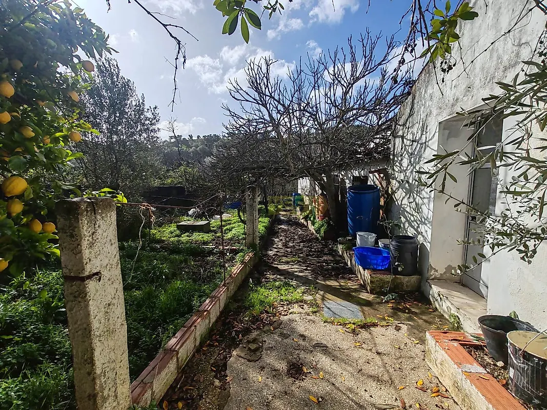 Moradia T6+ à venda em Santana da Serra, Ourique — foto 21