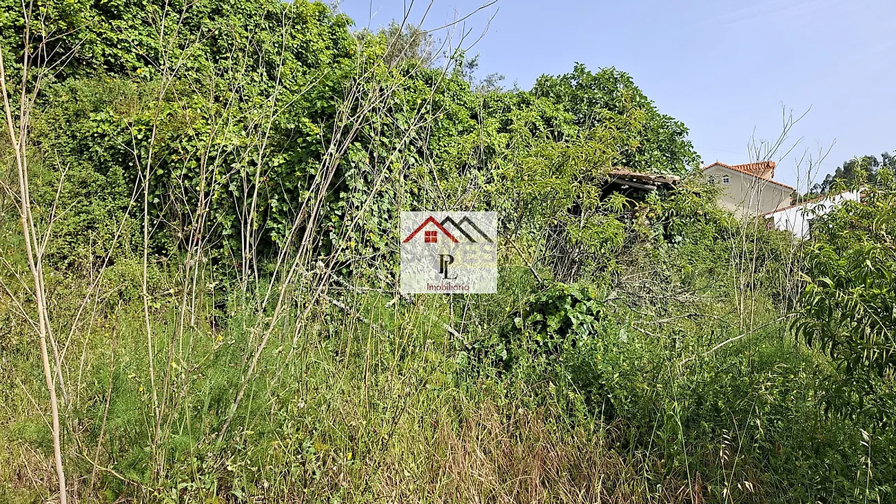 Moradia T2 à venda em Podentes, Penela — foto 6
