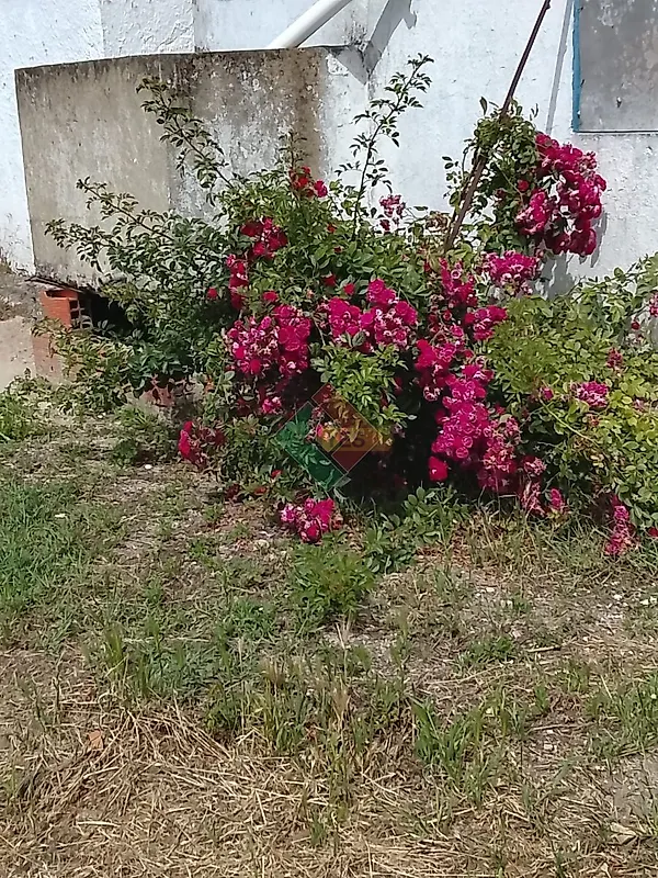 Moradia T3 à venda em Foros de Arrão, Ponte de Sor — foto 8