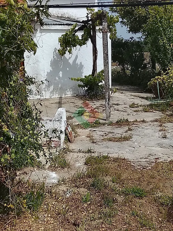 Moradia T3 à venda em Foros de Arrão, Ponte de Sor — foto 6