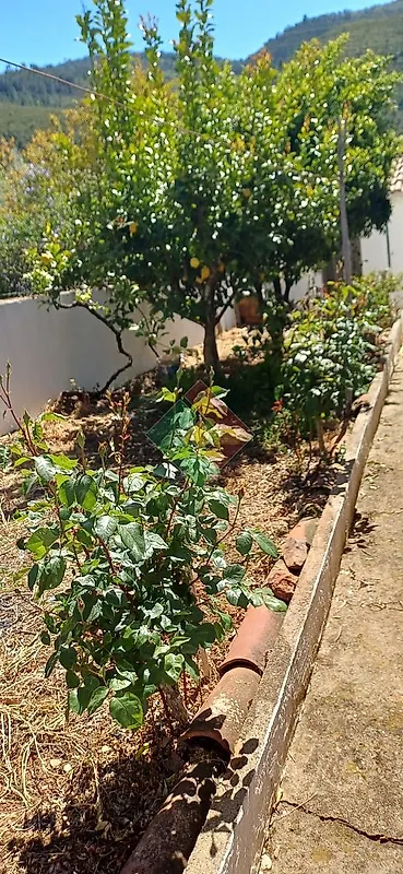 Moradia T4 à venda em Reguengo e São Julião, Portalegre — foto 25